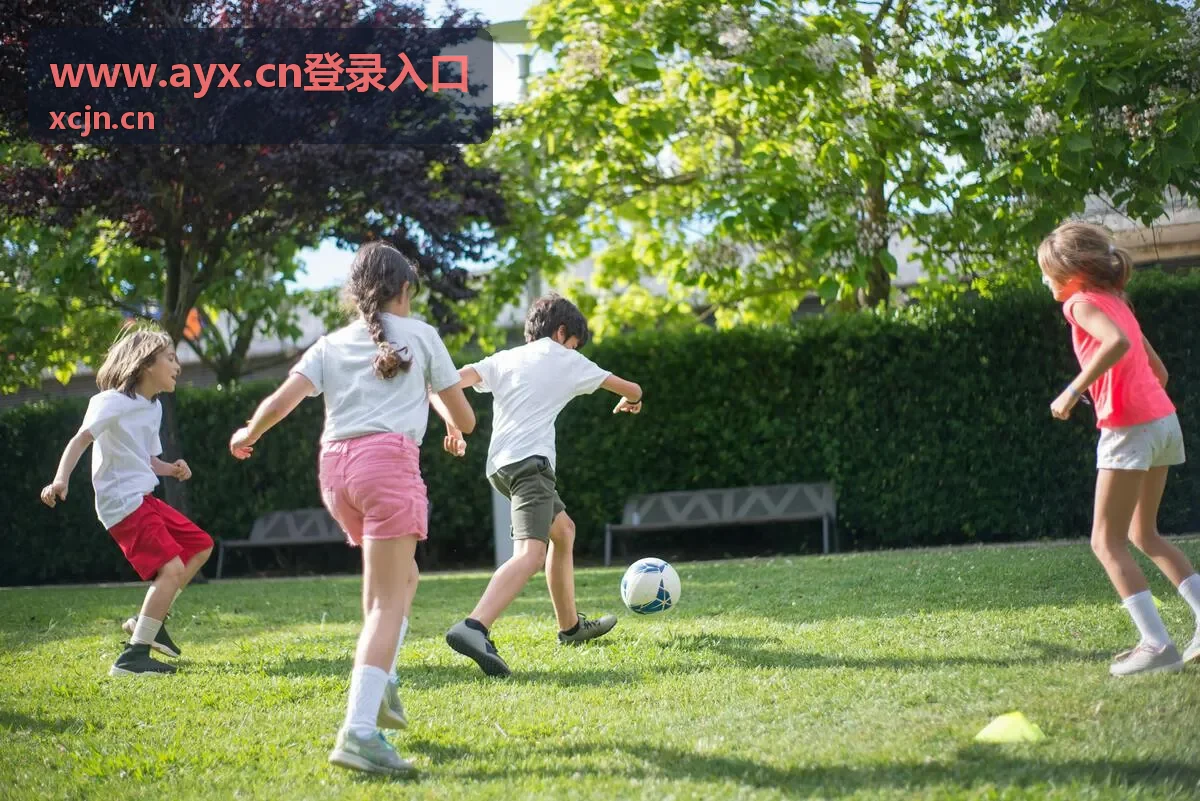 www.ayx.cn登录入口 账号开通流程配图